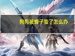 狗狗被蜂子蛰了怎么办