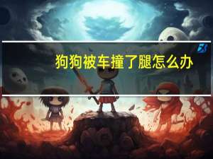 狗狗被车撞了腿怎么办