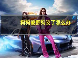 狗狗被野狗咬了怎么办