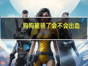 狗狗被骑了会不会出血