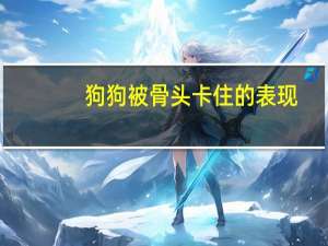 狗狗被骨头卡住的表现