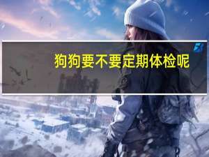 狗狗要不要定期体检呢