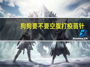 狗狗要不要空腹打疫苗针