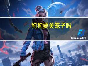 狗狗要关笼子吗
