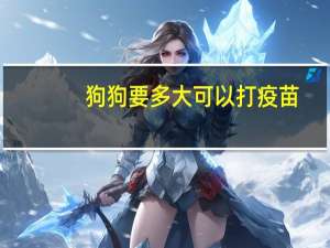 狗狗要多大可以打疫苗