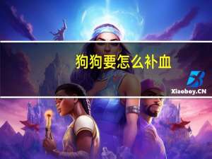 狗狗要怎么补血