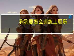 狗狗要怎么训练上厕所