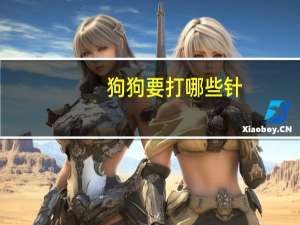 狗狗要打哪些针