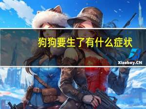 狗狗要生了有什么症状