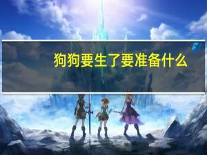 狗狗要生了要准备什么