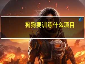 狗狗要训练什么项目