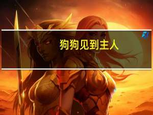 狗狗见到主人