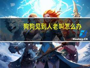 狗狗见到人老叫怎么办