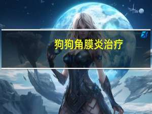 狗狗角膜炎治疗