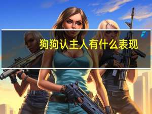 狗狗认主人有什么表现