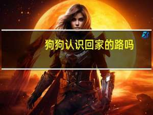 狗狗认识回家的路吗