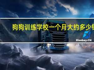 狗狗训练学校一个月大约多少钱（日柴犬出席见面会）