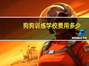 狗狗训练学校费用多少