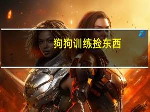 狗狗训练捡东西