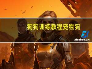 狗狗训练教程宠物狗