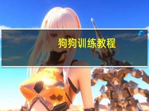 狗狗训练教程