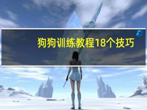 狗狗训练教程18个技巧