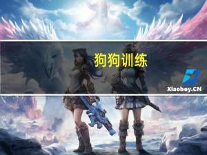 狗狗训练