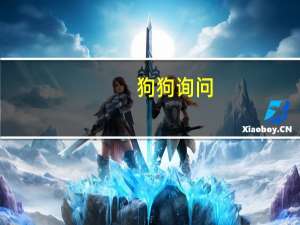 狗狗询问
