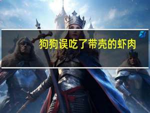 狗狗误吃了带壳的虾肉