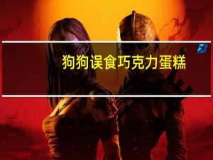 狗狗误食巧克力蛋糕