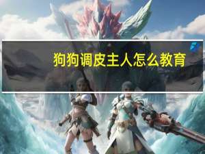狗狗调皮主人怎么教育