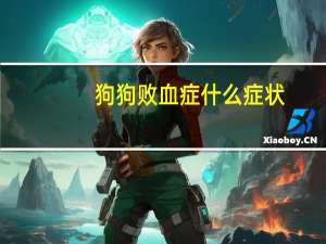 狗狗败血症什么症状