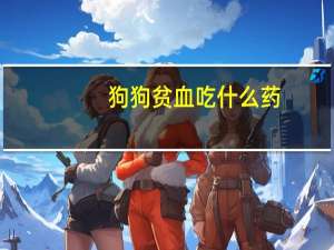 狗狗贫血吃什么药