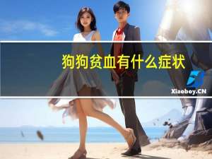 狗狗贫血有什么症状
