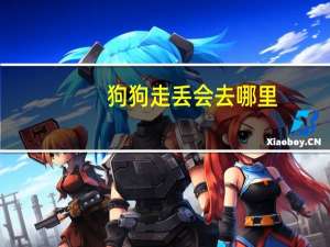 狗狗走丢会去哪里