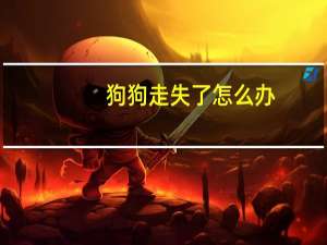 狗狗走失了怎么办