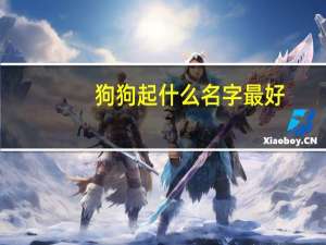 狗狗起什么名字最好