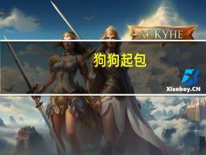 狗狗起包