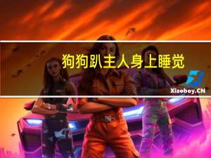狗狗趴主人身上睡觉