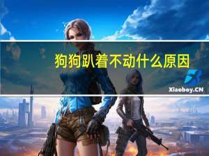 狗狗趴着不动什么原因