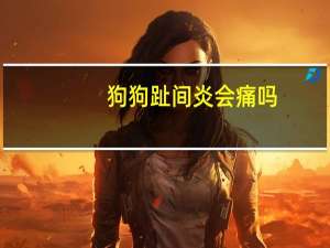 狗狗趾间炎会痛吗