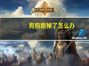 狗狗跑掉了怎么办