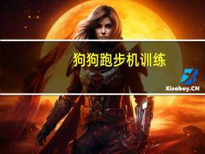 狗狗跑步机训练