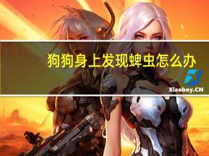 狗狗身上发现蜱虫怎么办