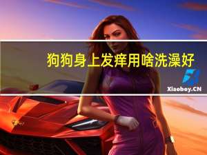 狗狗身上发痒用啥洗澡好