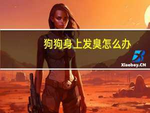 狗狗身上发臭怎么办