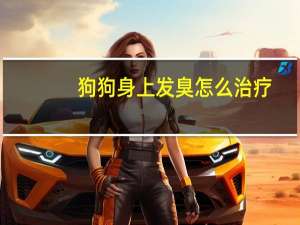 狗狗身上发臭怎么治疗