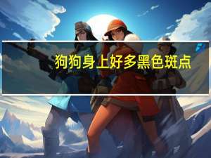 狗狗身上好多黑色斑点