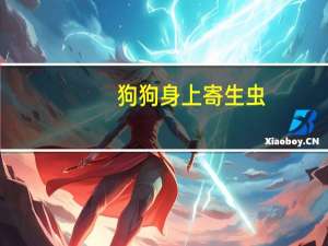 狗狗身上寄生虫