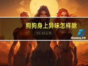 狗狗身上异味怎样除
